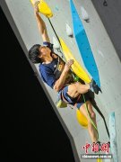 亚洲攀岩锦标赛：日本选手铃木音生获男子难度赛金牌